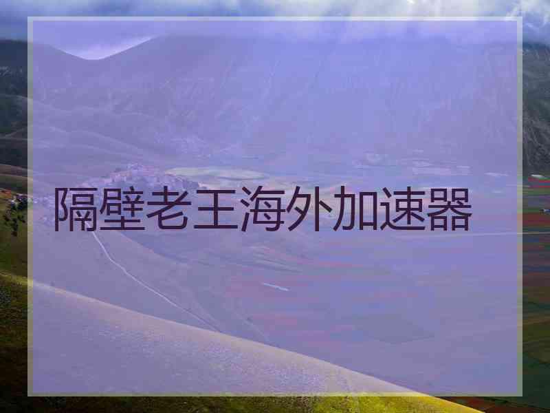 隔壁老王海外加速器