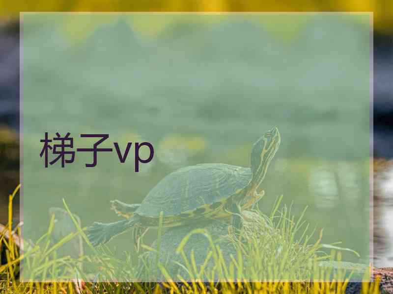 梯子vp