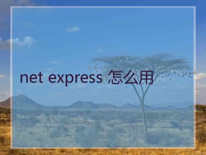 net express 怎么用