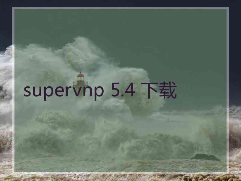 supervnp 5.4 下载