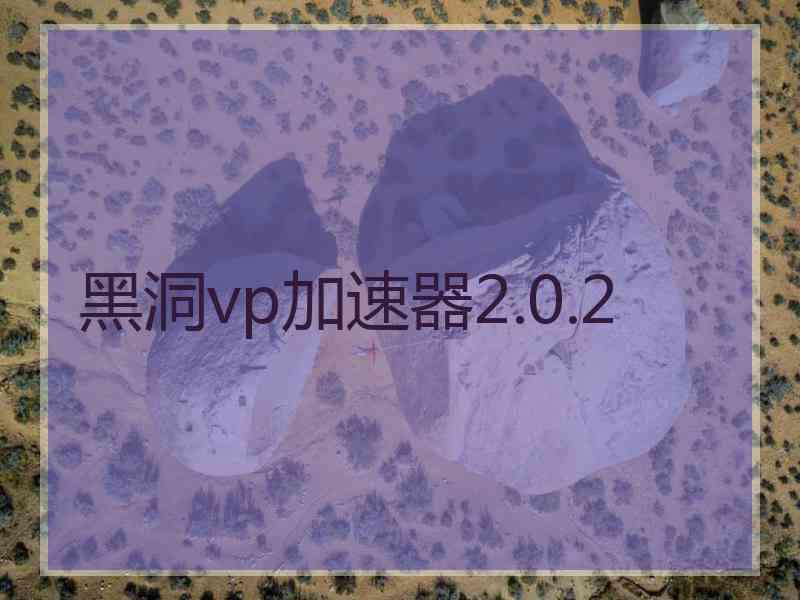 黑洞vp加速器2.0.2