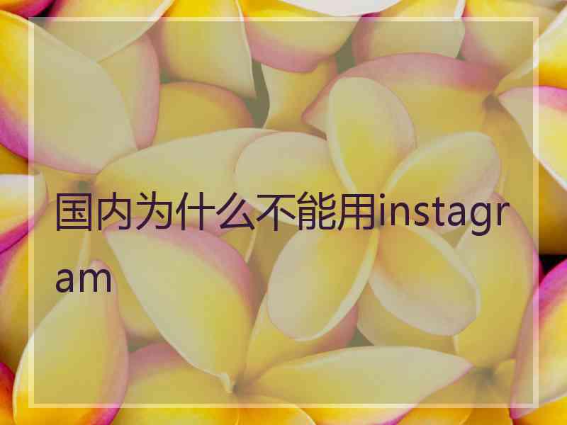 国内为什么不能用instagram